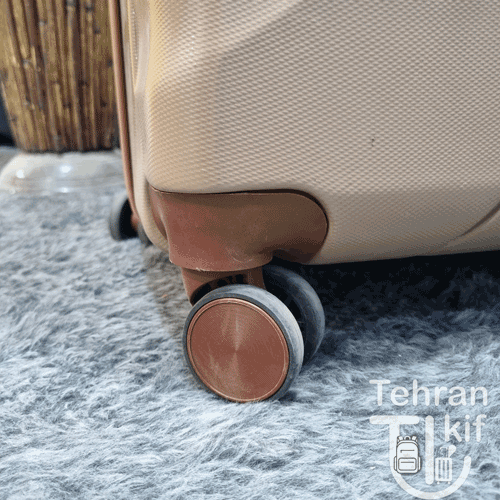 چمدان دلسی3 - چمدان اقتصادی دلسی پاریس
