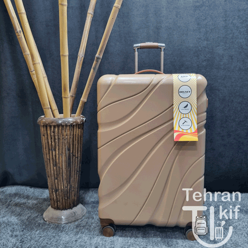 چمدان اقتصادی دلسی پاریس چمدان اقتصادی دلسی پاریس