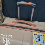 چمدان اقتصادی دلسی پاریس