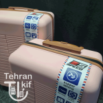 چمدان اسپید صورتی 2 تکه